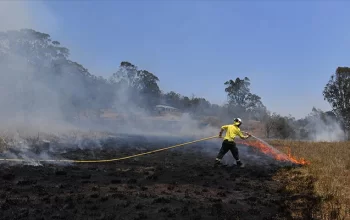 Avstraliyada yanğınlarda 2 min hektardan çox meşə sahəsi yanıb