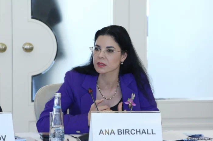 Ana Birçall: “Azərbaycanla enerji əməkdaşlığı tərəfdaşlığımızın əsas istiqamətlərindən biridir”
