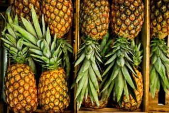 Orqanizmi cavanlaşdırır, arıqlamağa kömək edir - Ananasın unikal faydaları
